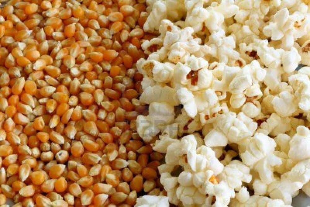 Organic Popcorn