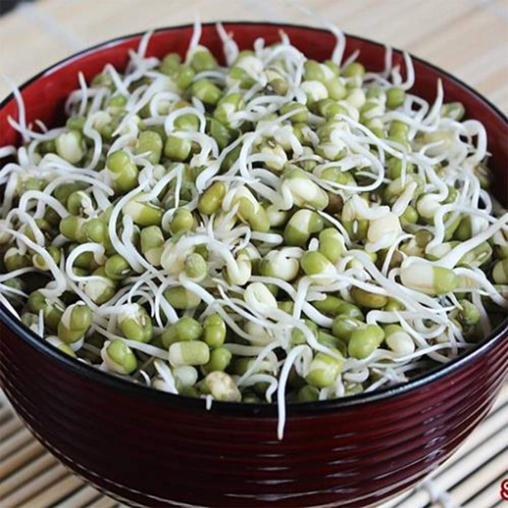 Organic Navy Beans