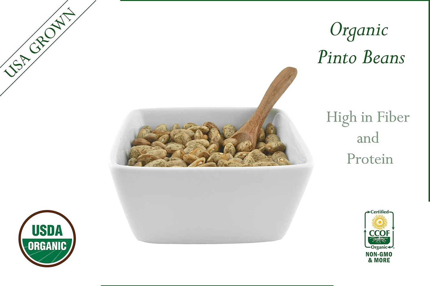 Organic Pinto Beans