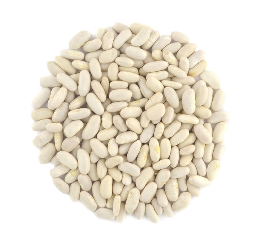 Organic Great Northern Beans