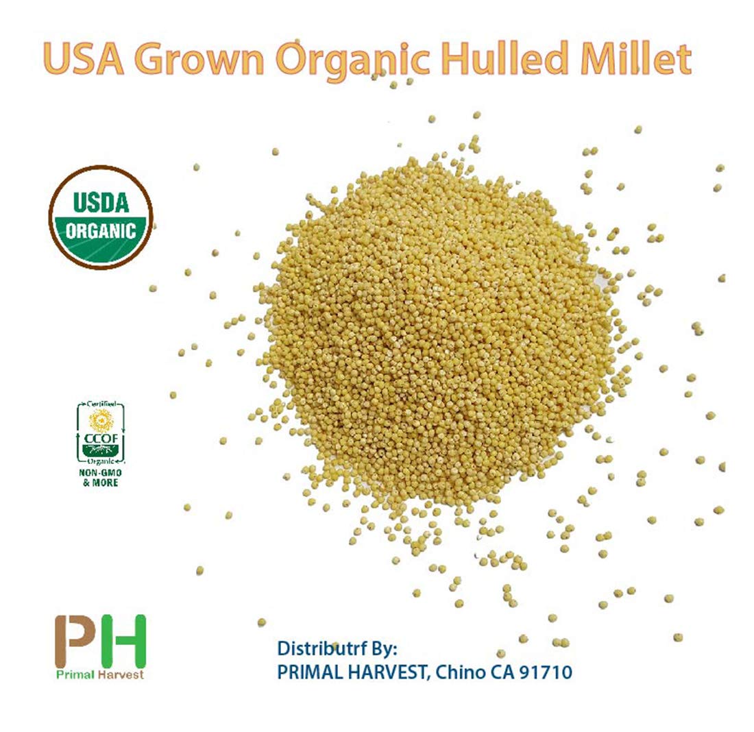 Organic Proso Millet