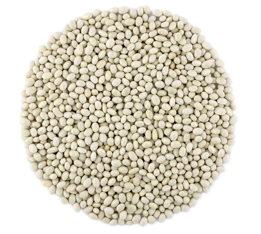 Organic Navy Beans