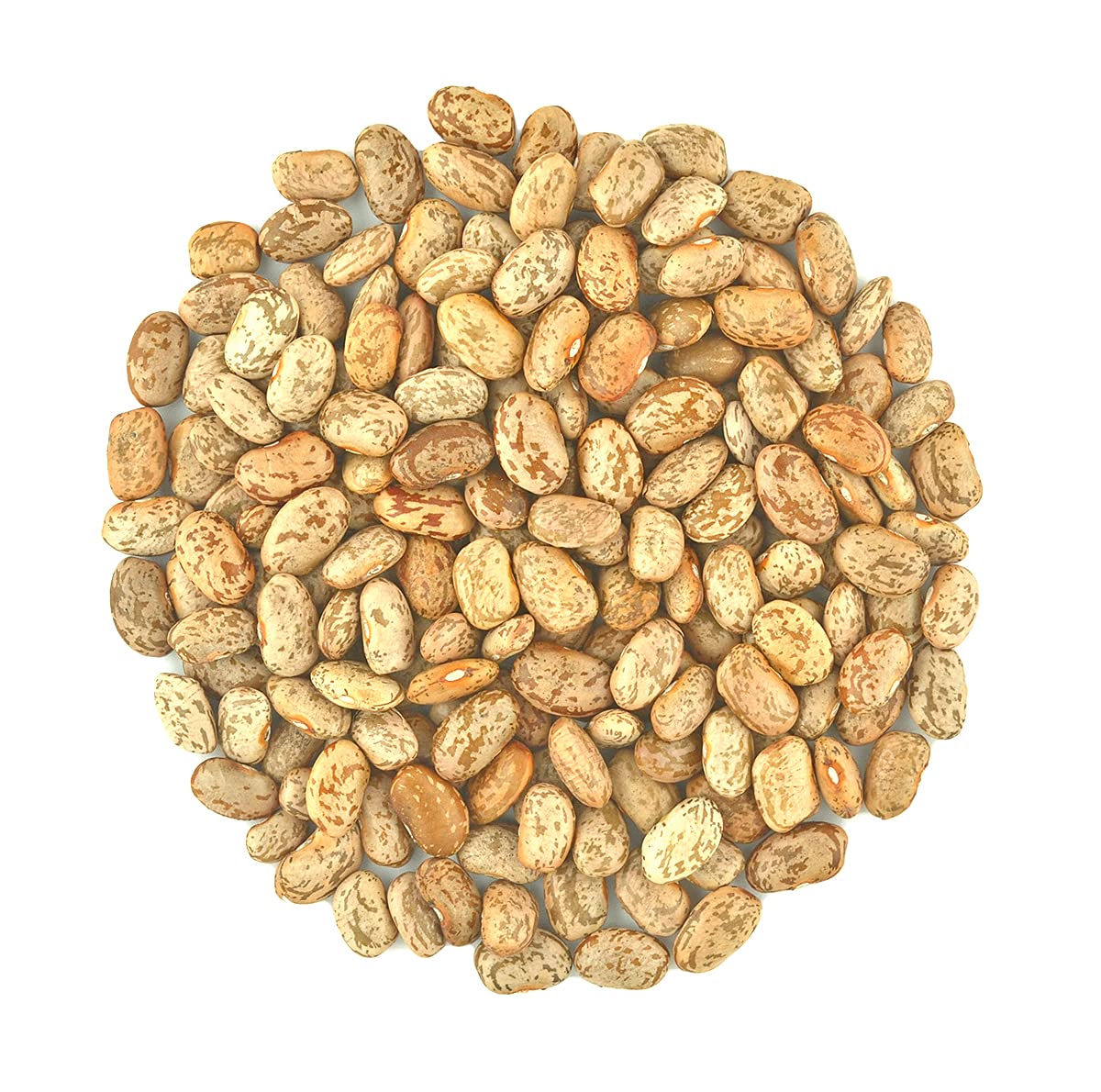 Organic Pinto Beans