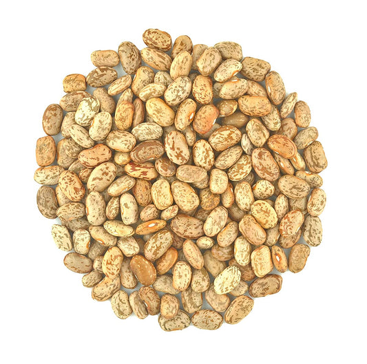 Organic Pinto Beans