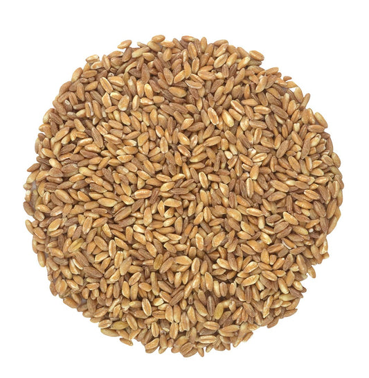 Organic Pearled Farro