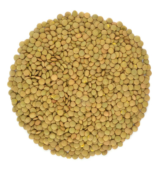 Organic Green Lentils