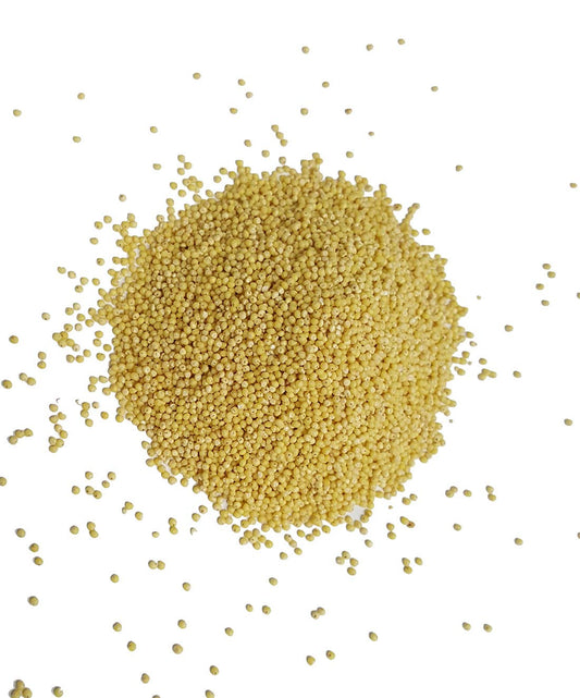 Organic Proso Millet