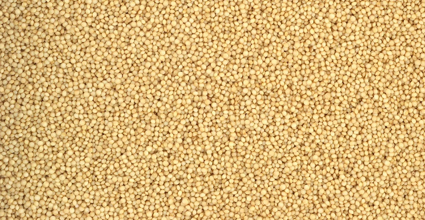 Organic Amaranth