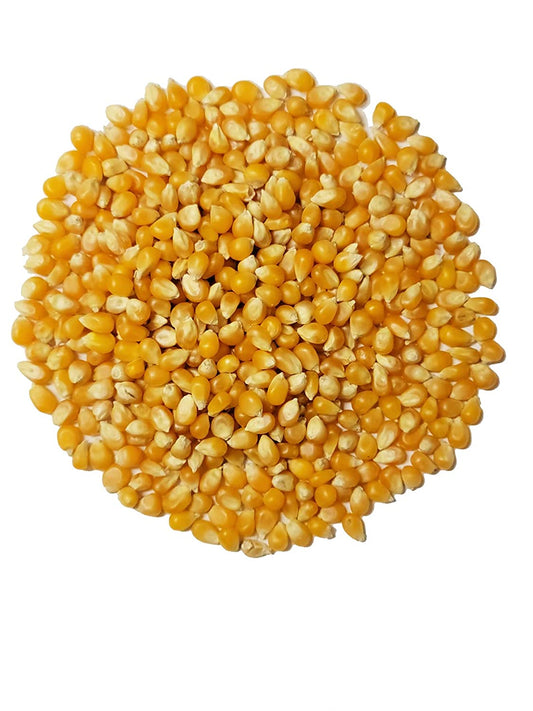 Organic Popcorn