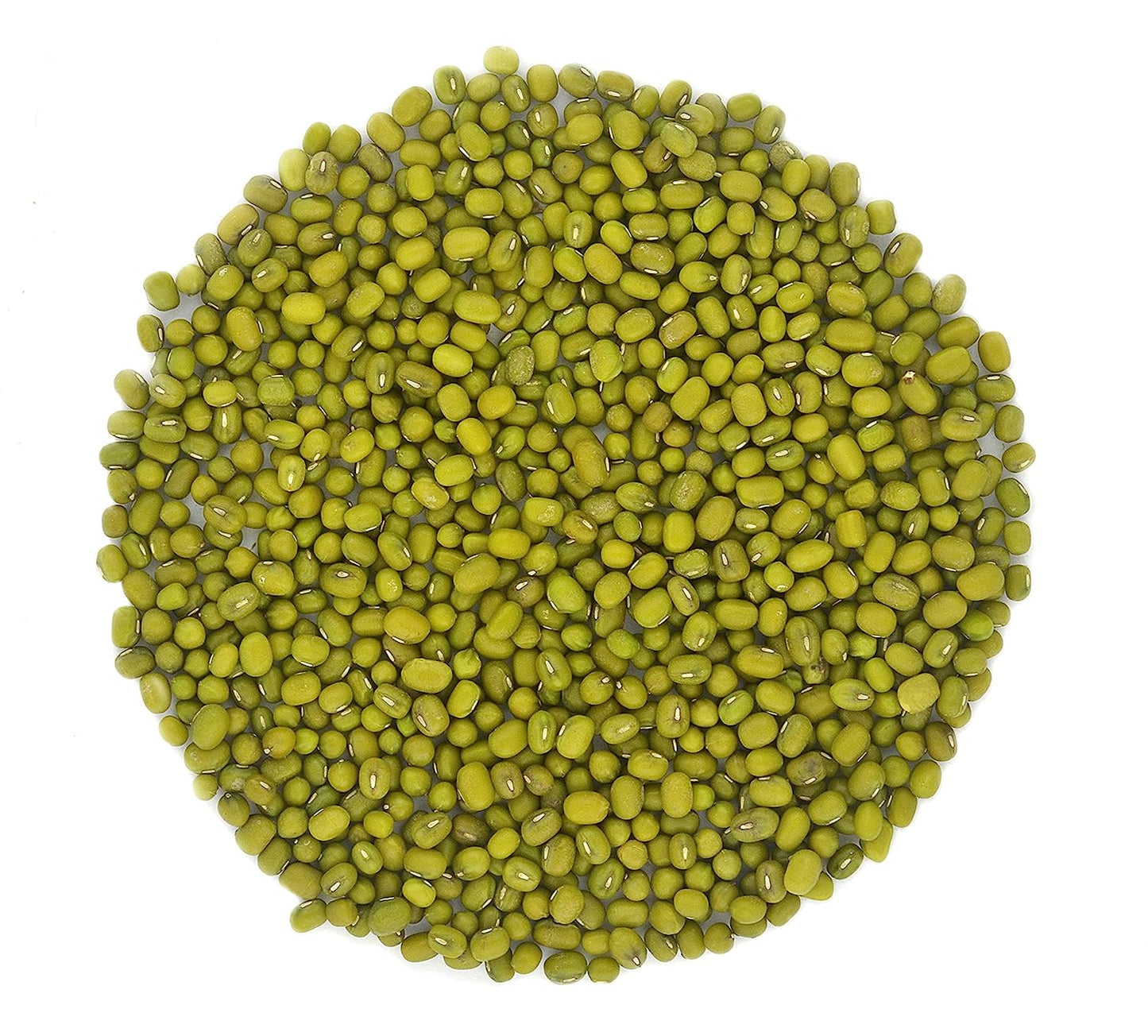 Organic Navy Beans