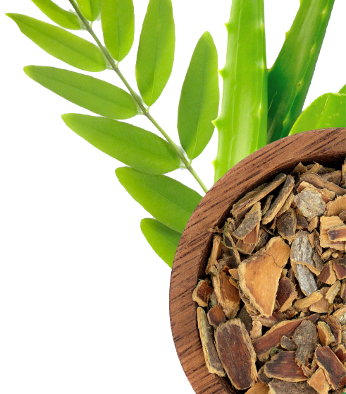 15 Day Cleanse & Detox for Adults – Supports Digestive Health, Regularity & Gut Cleanse –Herbal Formula with Probiotics