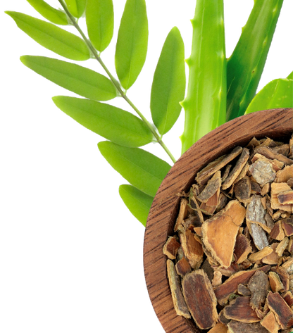 15 Day Cleanse & Detox for Adults – Supports Digestive Health, Regularity & Gut Cleanse –Herbal Formula with Probiotics