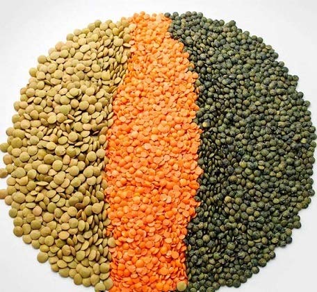 Organic French Green Lentils